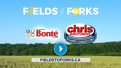 fields fork bonte